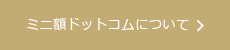 ミニ額ドットコムについて